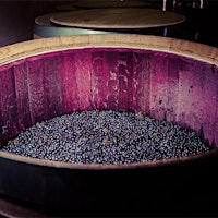 The late Enrique Forner founded celebrated Rioja winery Bodegas Marqués de Cáceres in 1970.