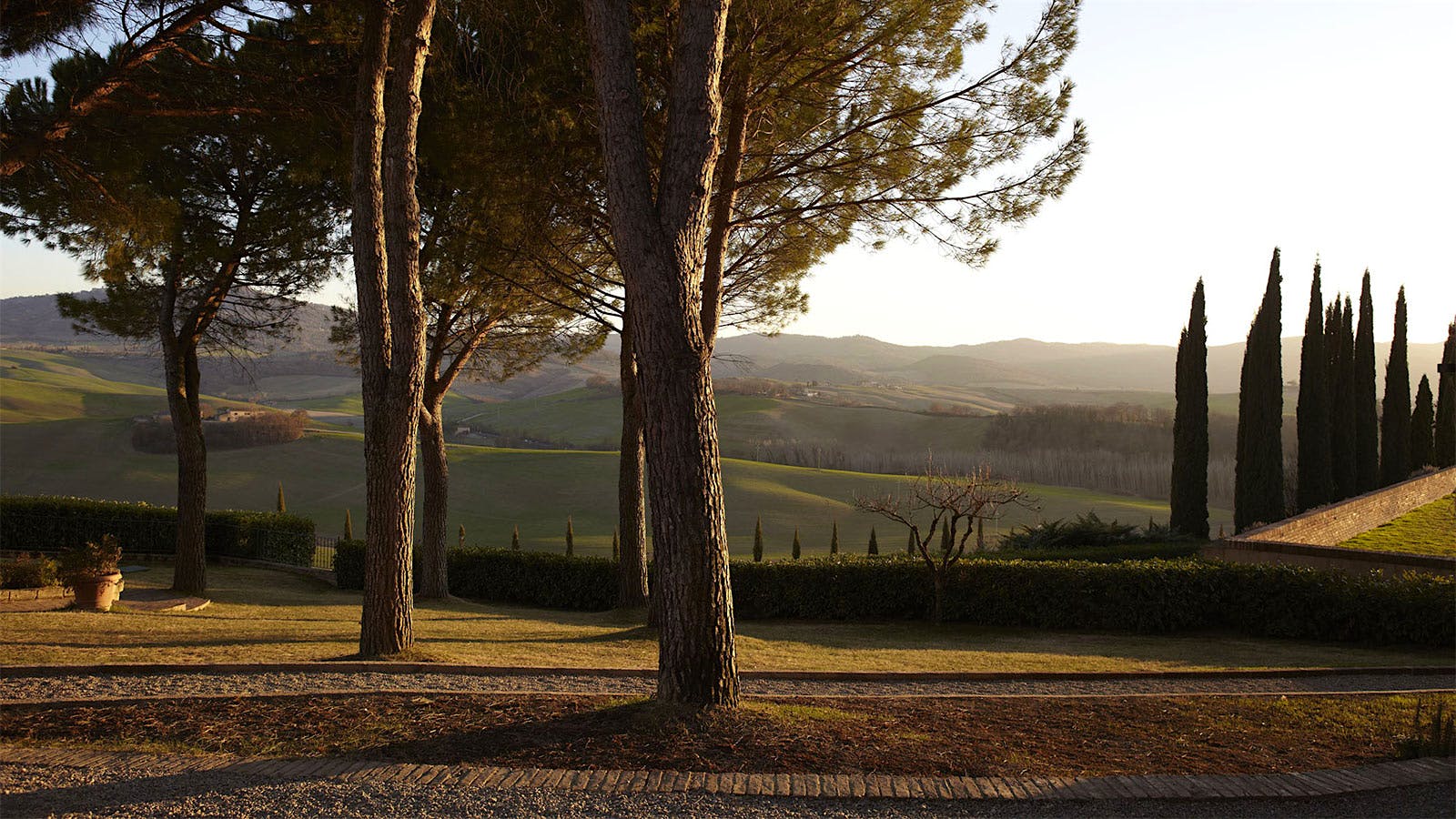 Insider Weekly: March 26 Edition