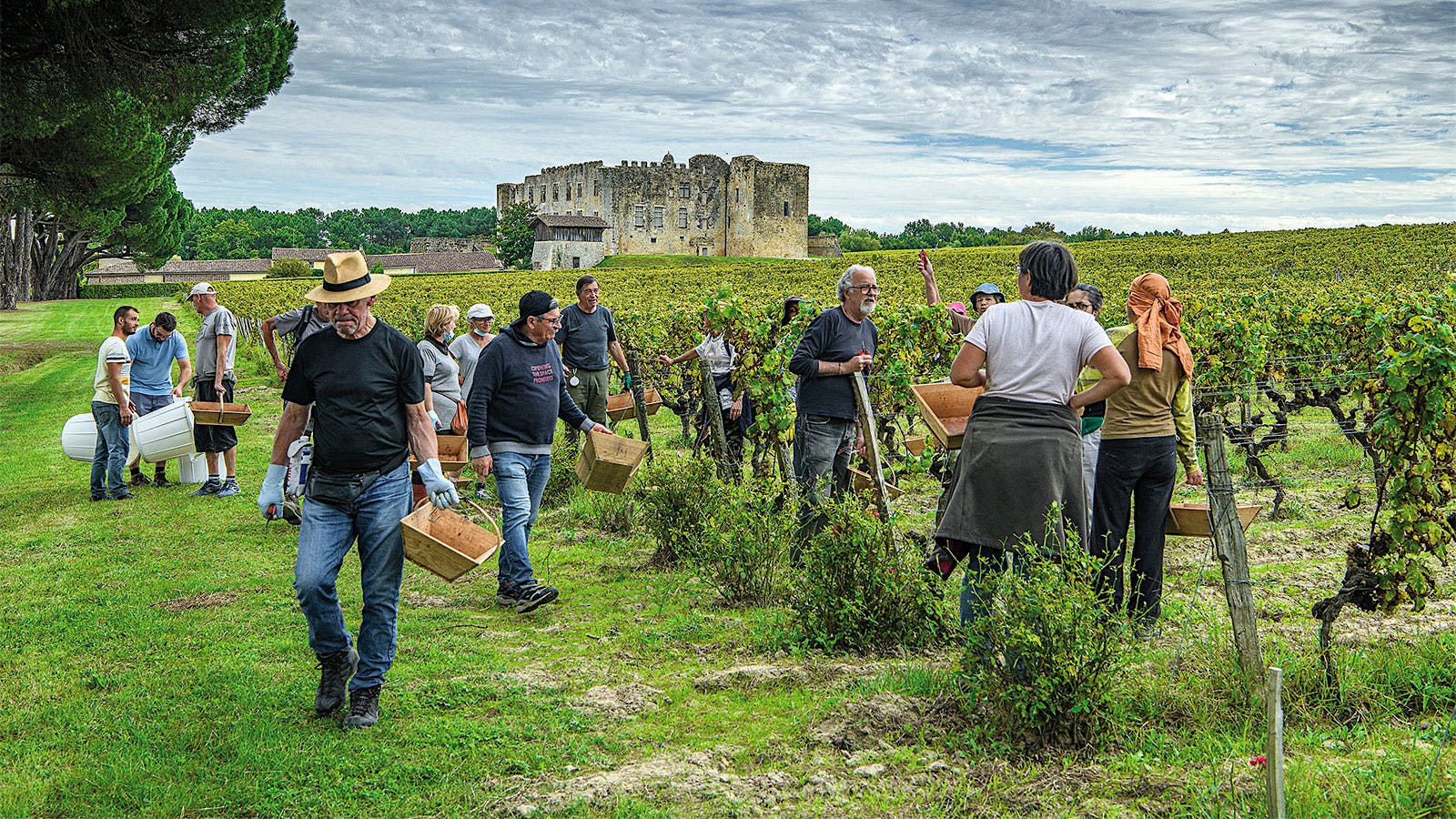 Vineyard workers with Château de Fargues in the background. Photo credit: François Poincet