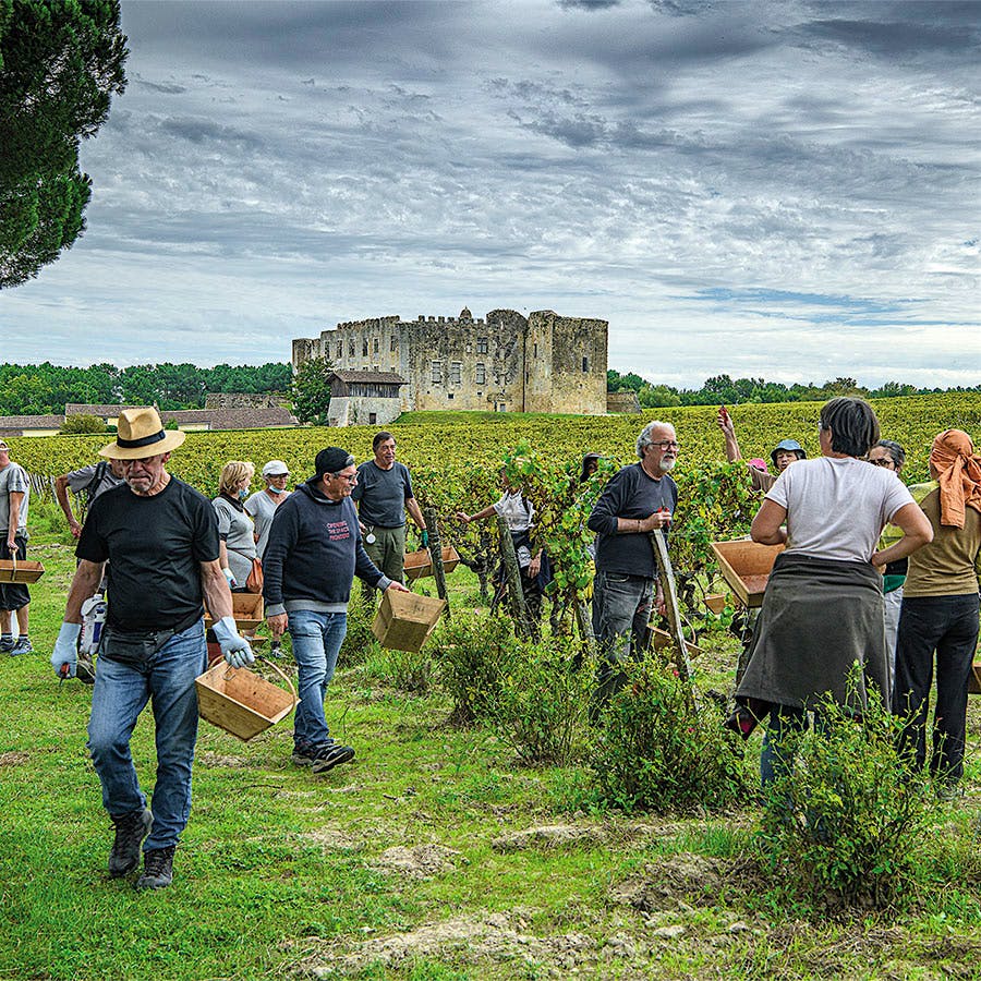 Vineyard workers with Château de Fargues in the background. Photo credit: François Poincet