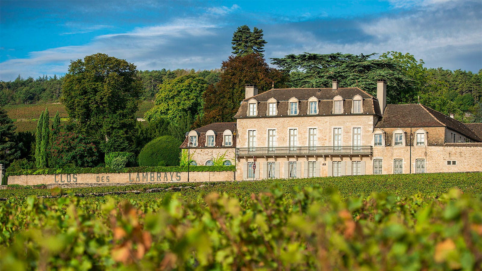 Insider Weekly Newsletter—March 12, 2025, Edition