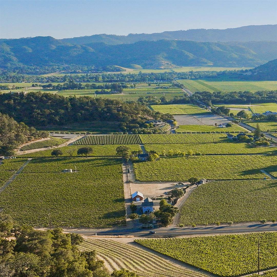 The Andelin vineyard sits right behind the two buildings that make up Cliff Lede Vineyards' wine facility.