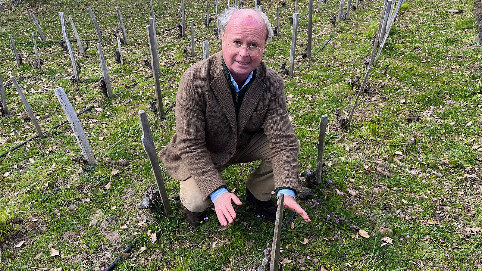  Baron Arnaldo Spitaleri crouches in a Castello Solicchiata vineyard amid closely planted, pruned, head-trained vines in winter