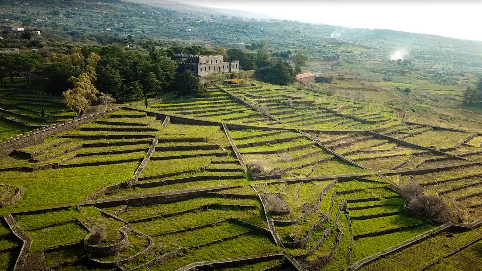 Why Is This Historic Mount Etna Winery So Hidden Away?