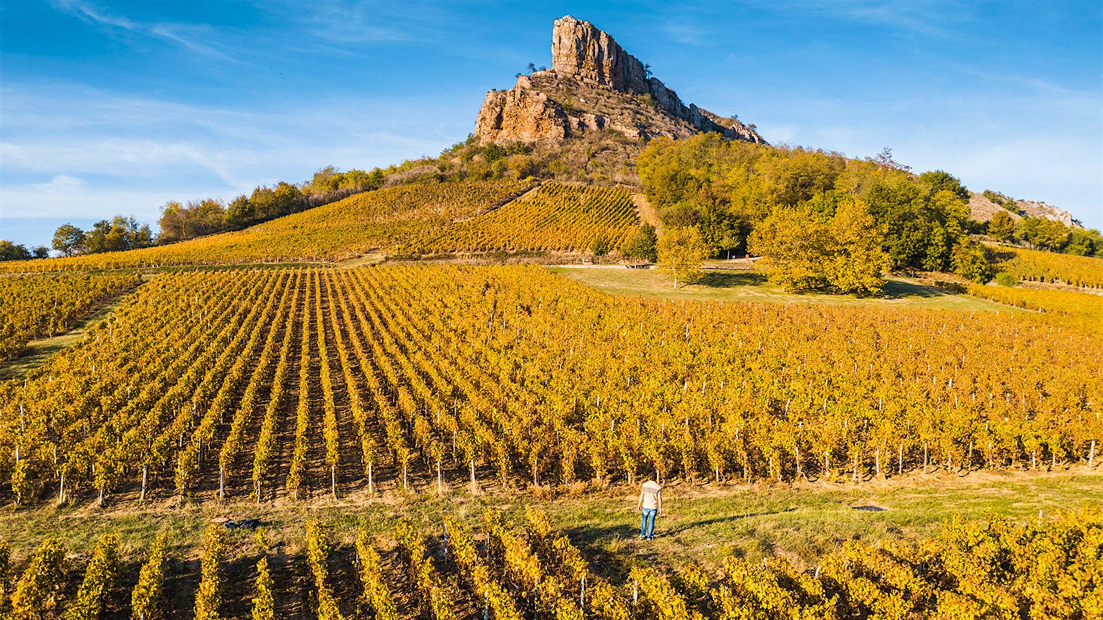 The Rock of Solutré and vineyards in Burgundy, France. Photo credit: © Marco Bottigelli/Getty Images