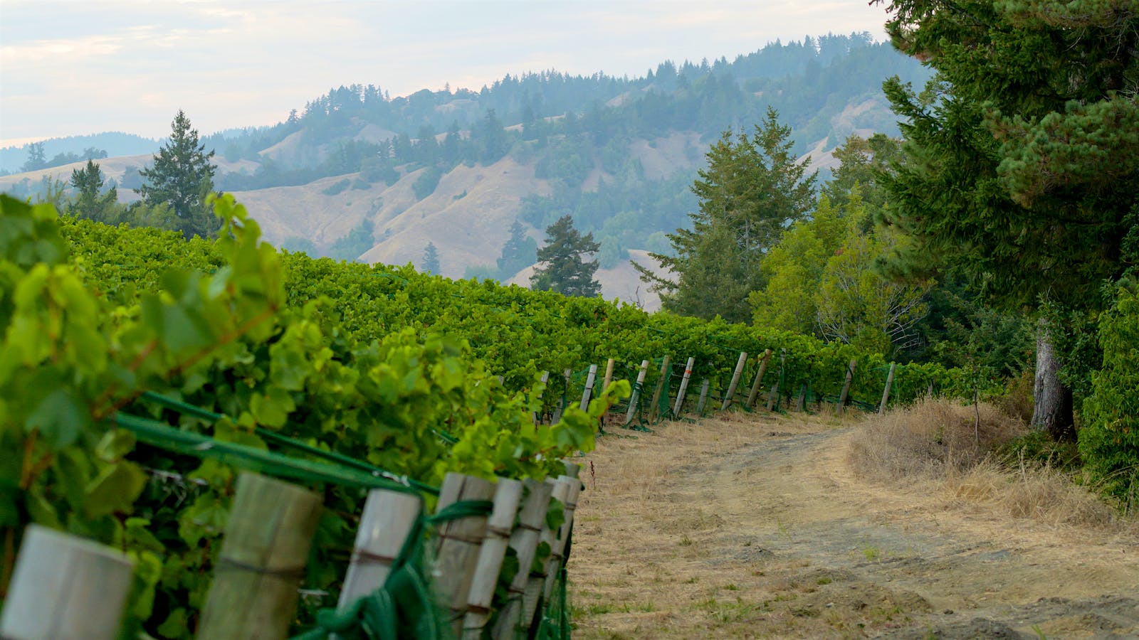 Insider Weekly: April 16 Edition