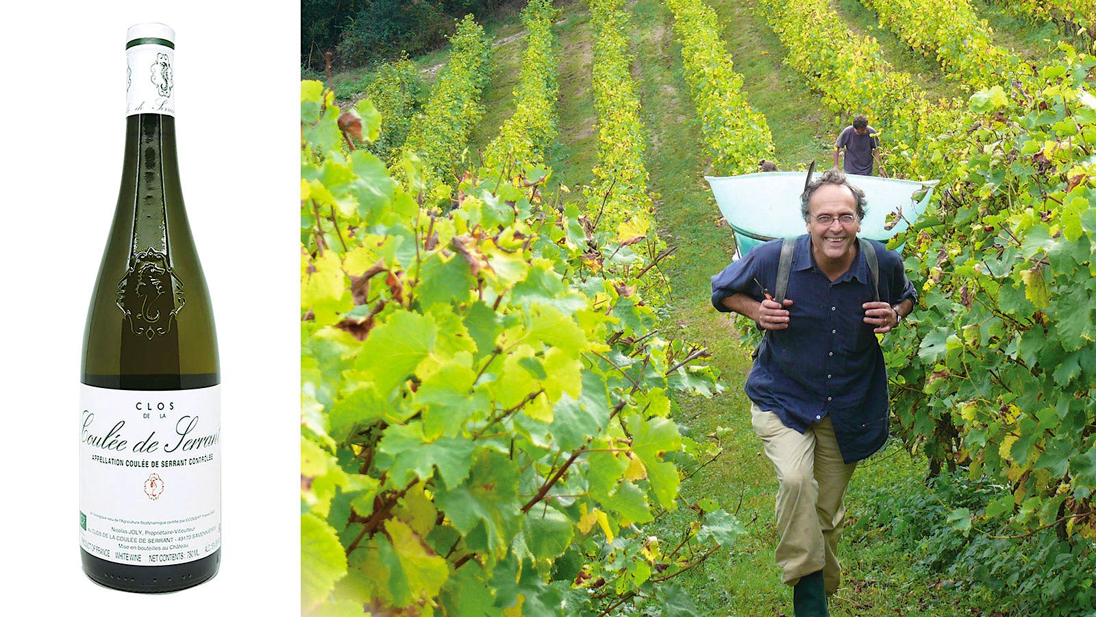 趣味・スポーツ・実用 The Wine Atlas of California with Oregon 趣味・スポーツ・実用 The Wine Atlas of California with