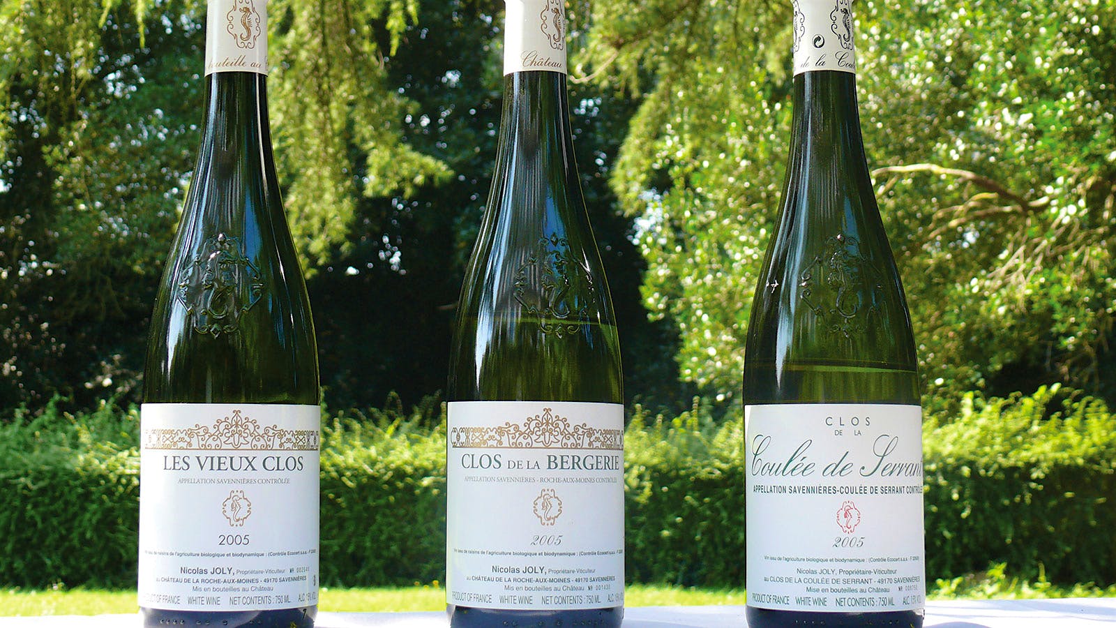  Bottles of Famille Joly Chenin Blanc