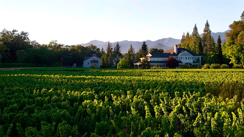 Duckhorn Refocuses Business on Core Wines, Trimming Some Brands and Tasting Rooms