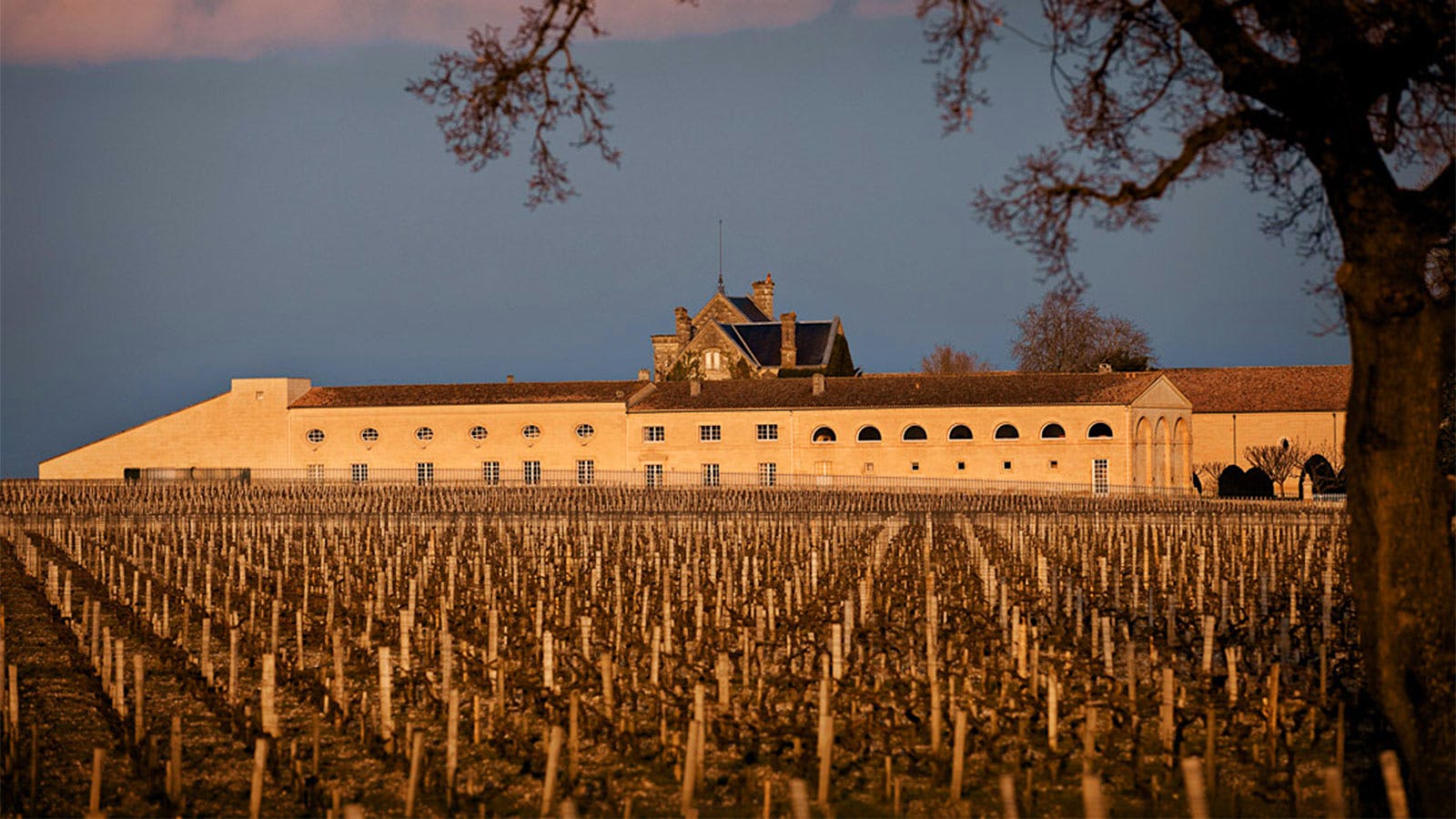 Château Mouton Rothschild of Bordeaux.