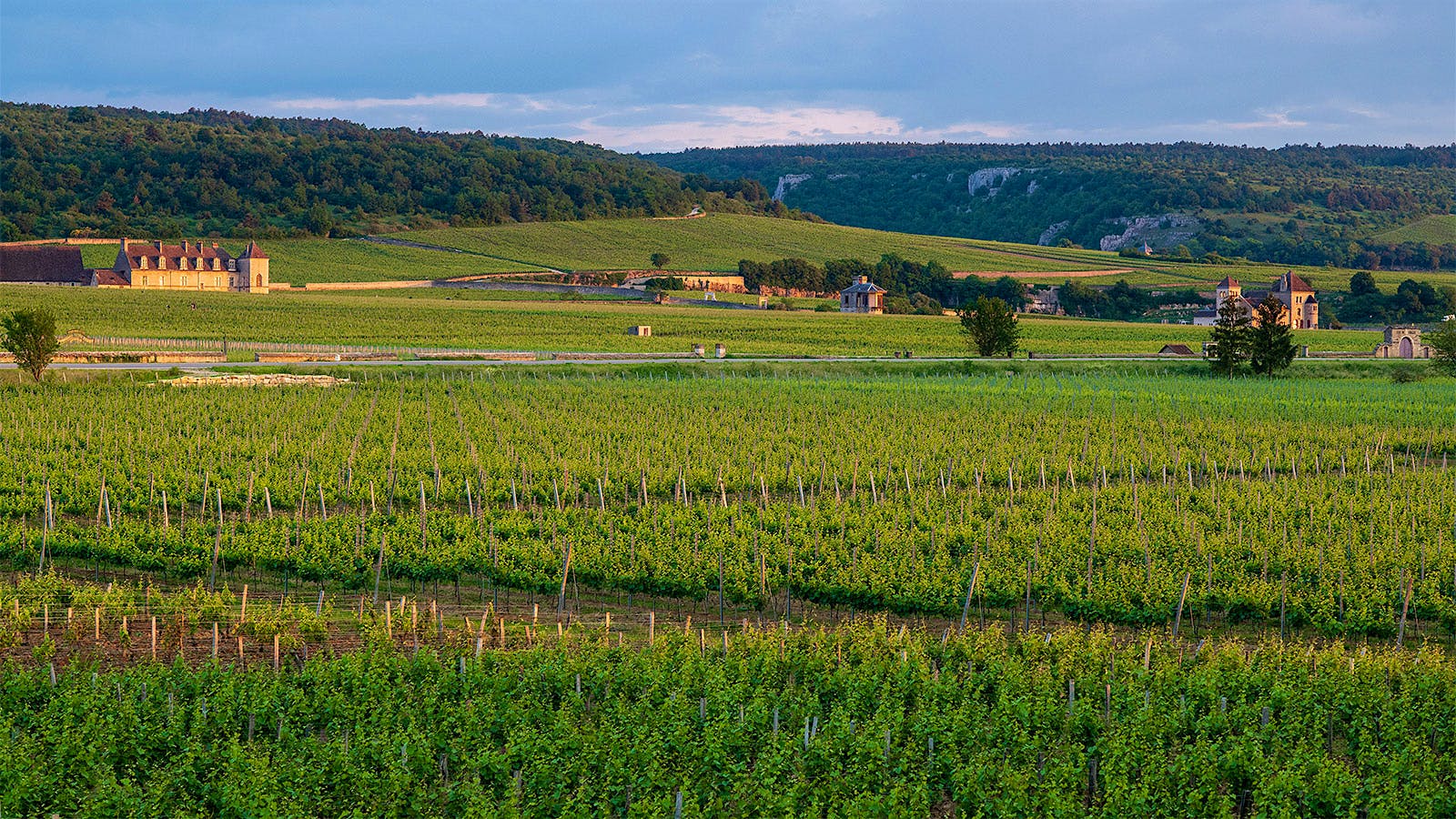  Burgundy’s the Côtes de Nuits village of Vougeot.
