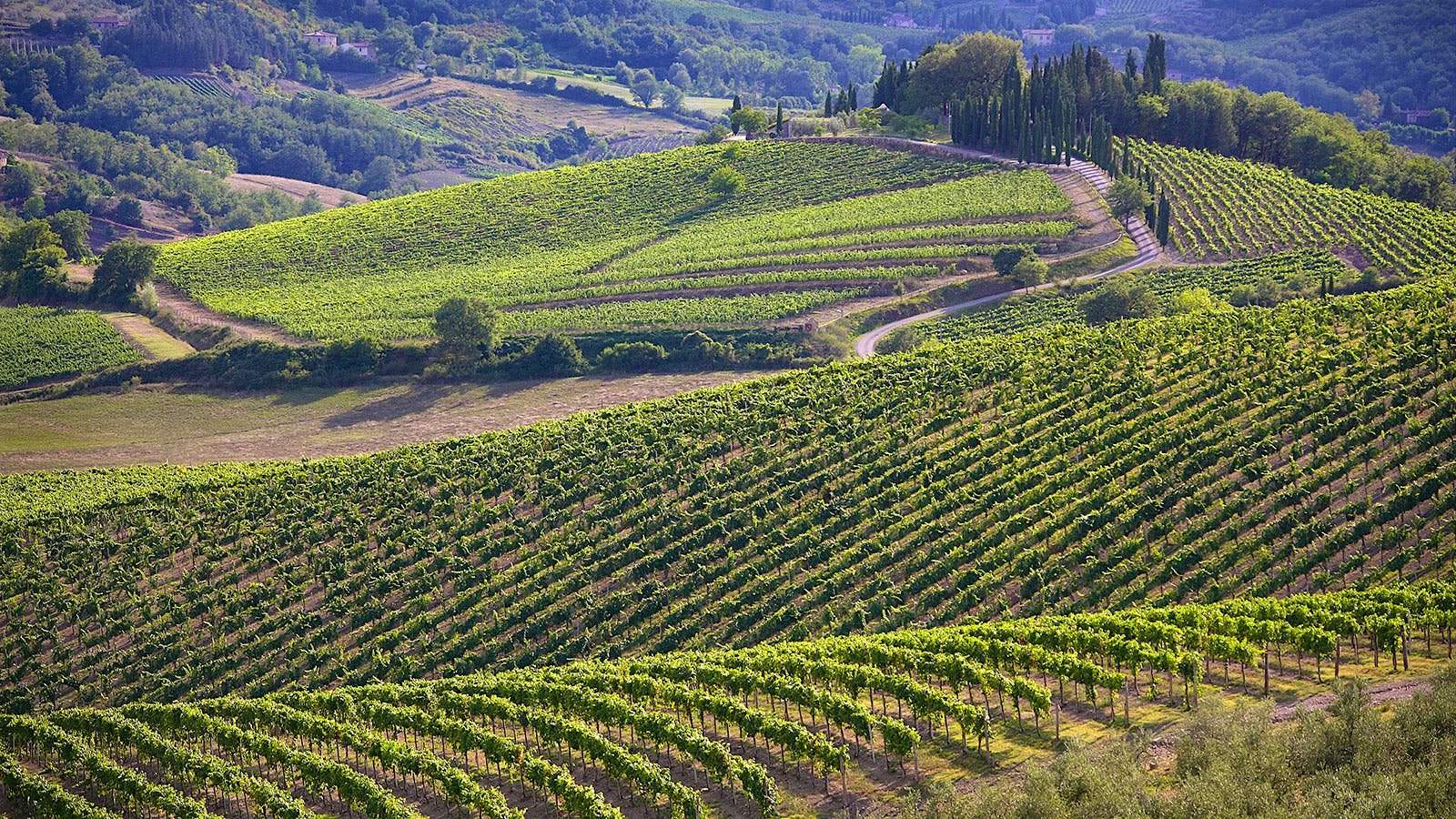 From Chianti to the Coast: A Tuscan Wine Quiz