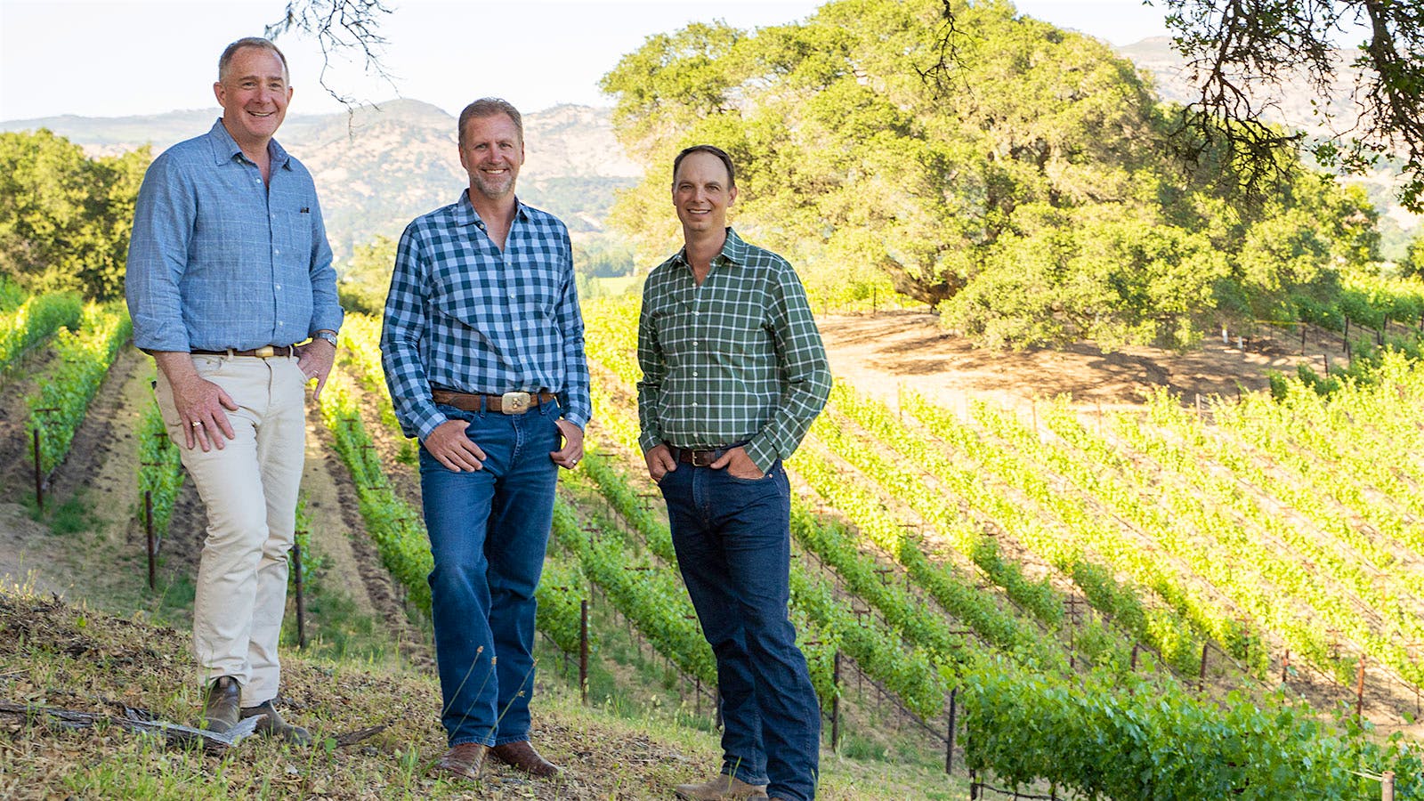 Accendo Cellars Cabernet Sauvignon 2015 - Divino