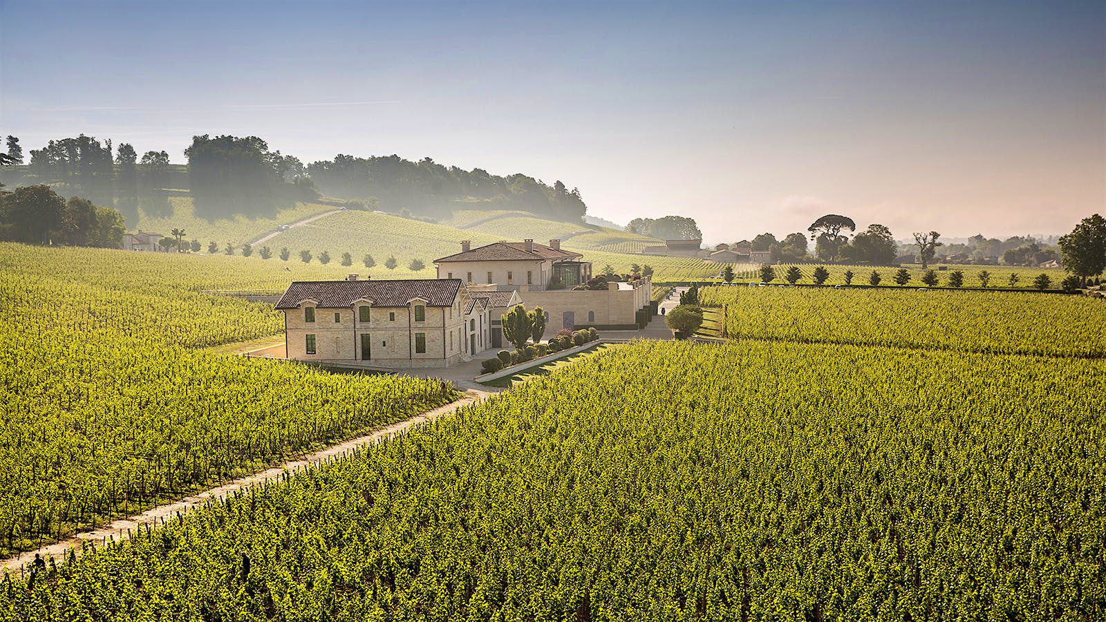 Ch&acirc;teau Pavie&rsquo;s cellar and vineyards in St.-&Egrave;milion.