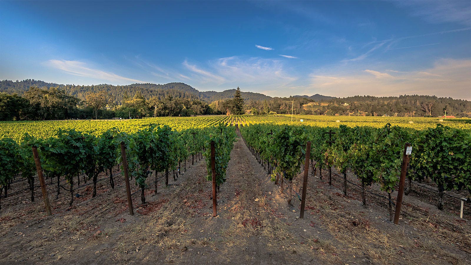  An ideal sunny day in St. Helena.