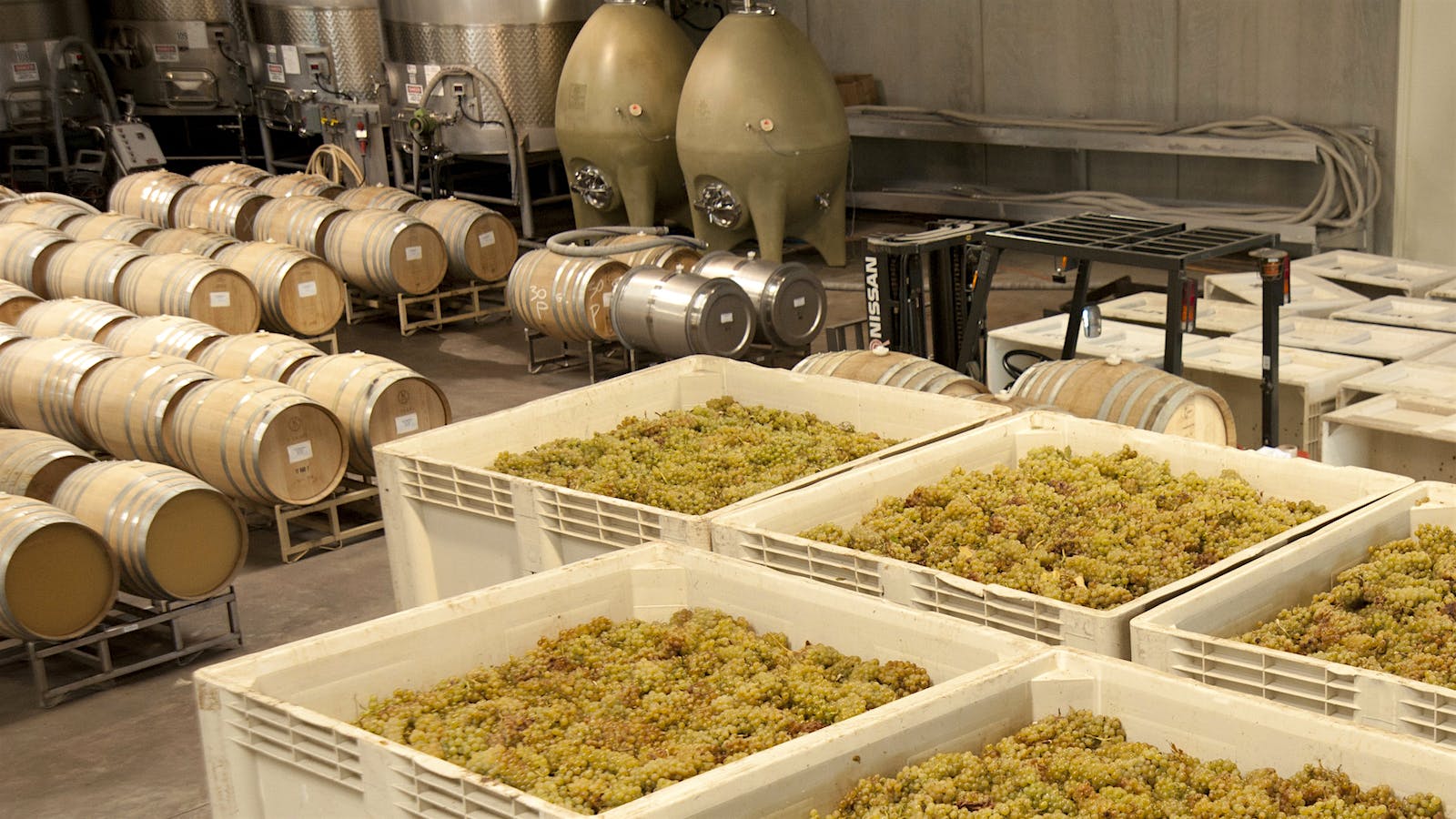  Ramey Wine Cellars barrel room in Sonoma's Russian River Valley.