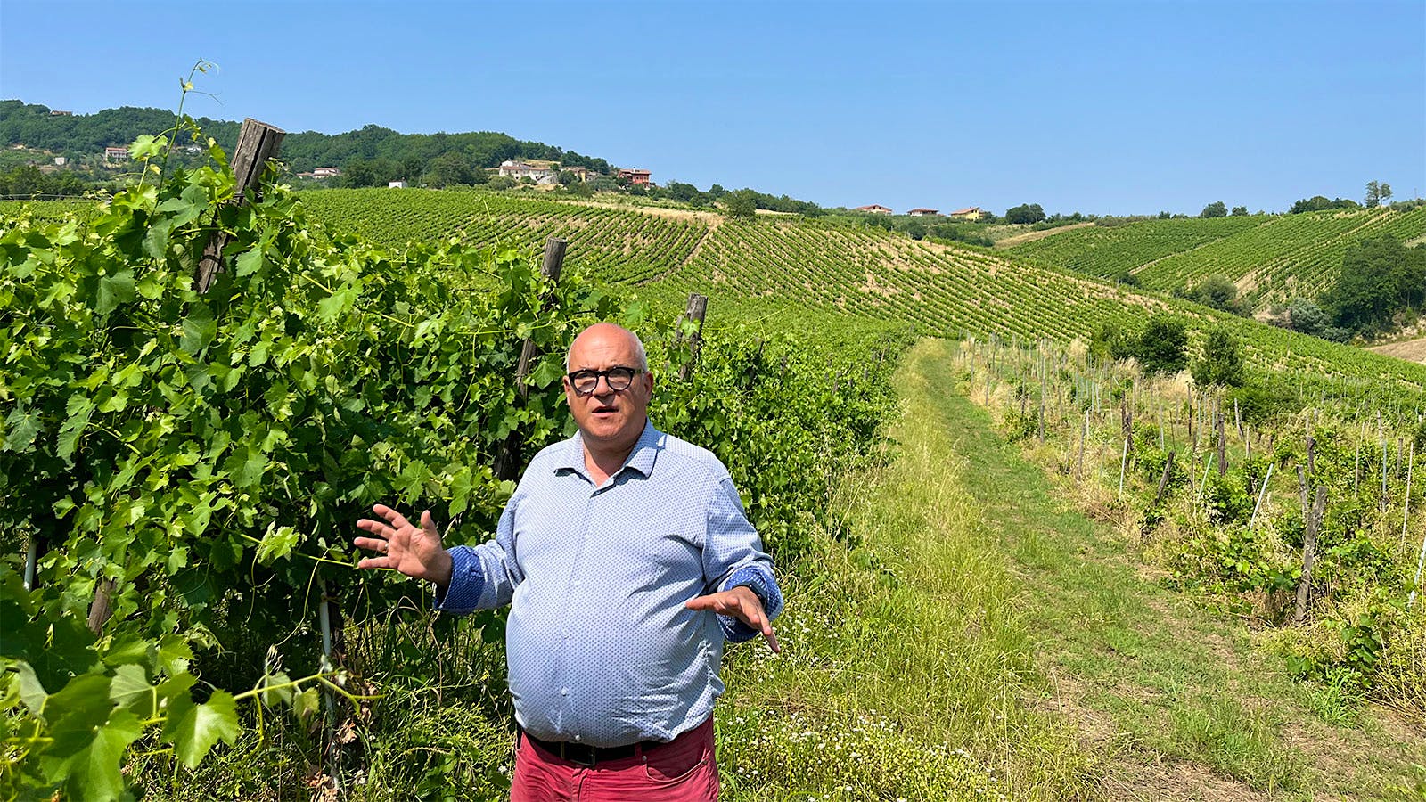  Ferrante di Somma in one of his Greco vineyards