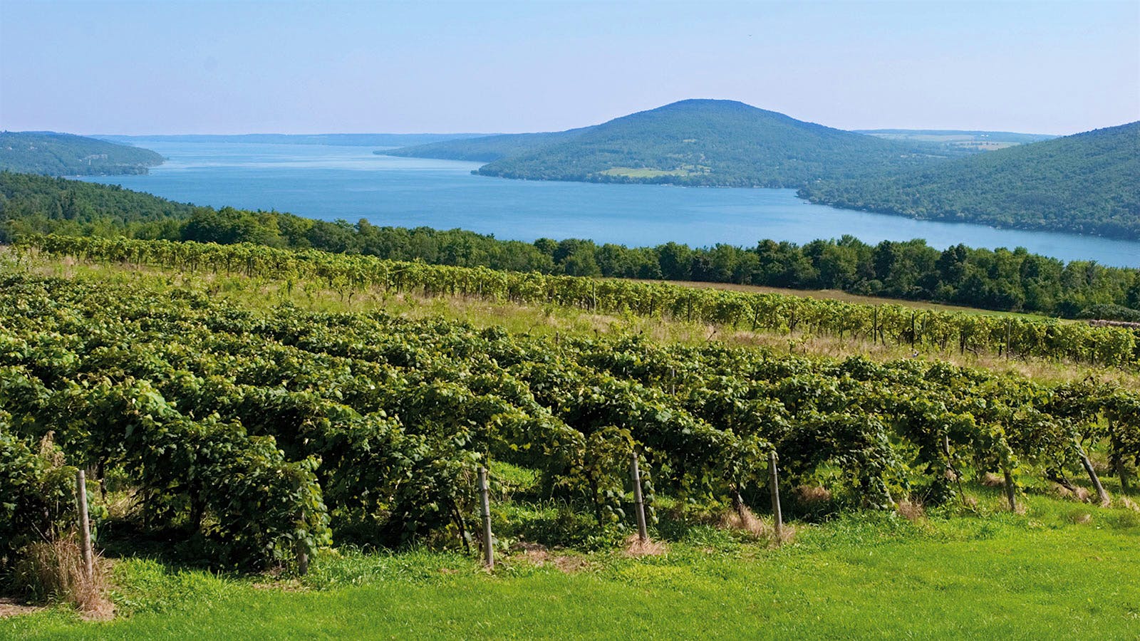  Vineyards next to Canandaigua Lake in the Finger Lakes, New York