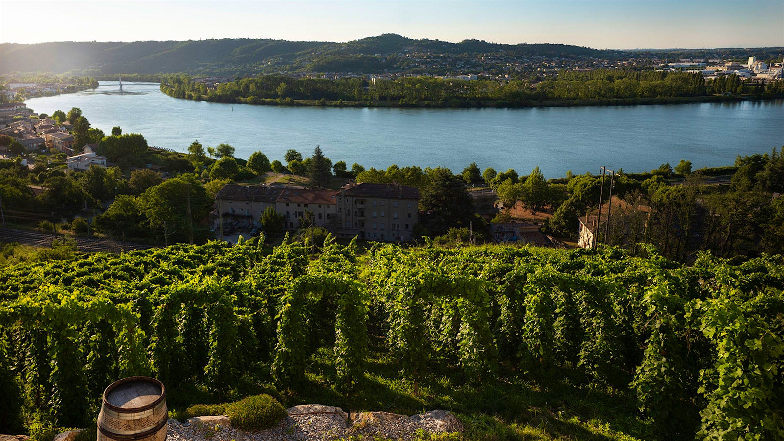 This white is pure and generous with apricot, pear, beeswax and mineral notes … Play the game!