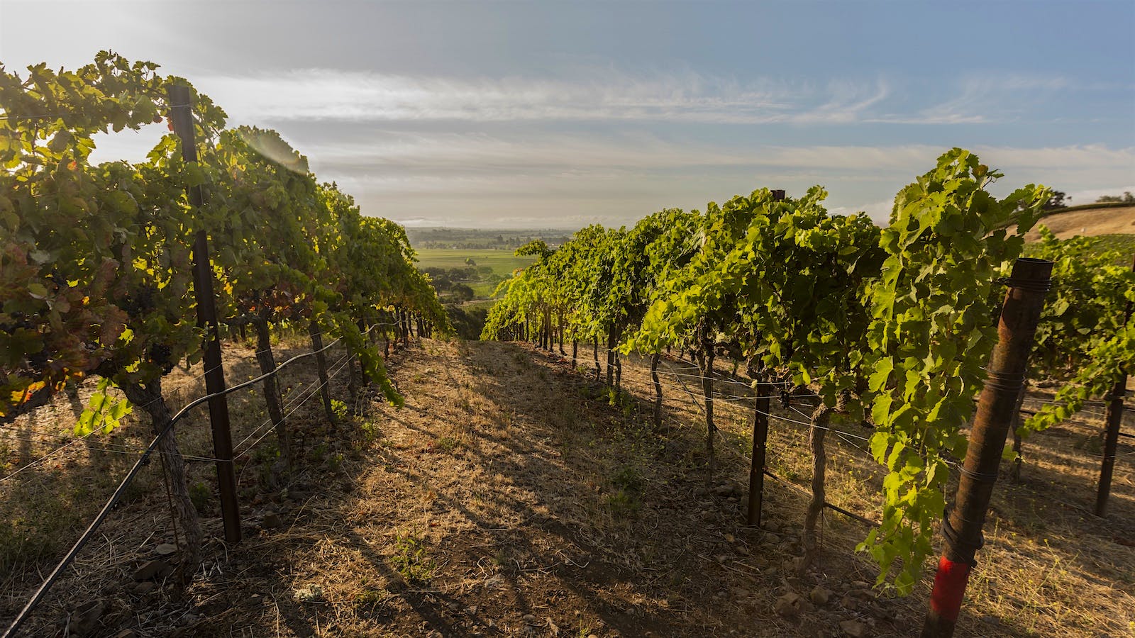 Insider Weekly: Sept. 17 Edition