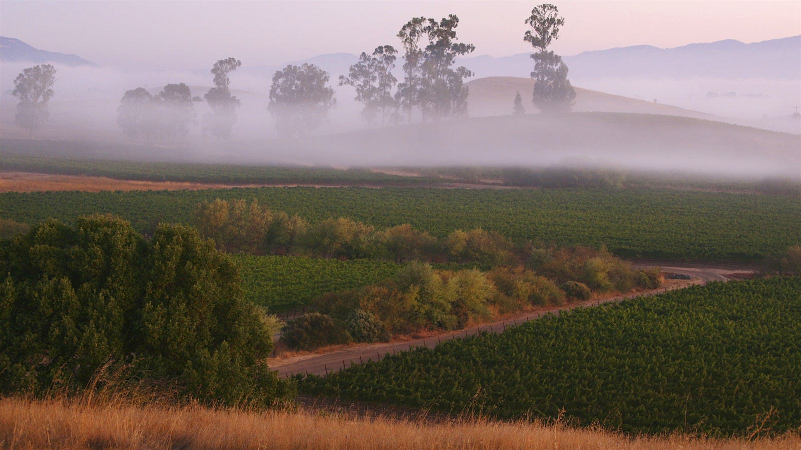 Insider Weekly: Sept. 24 Edition