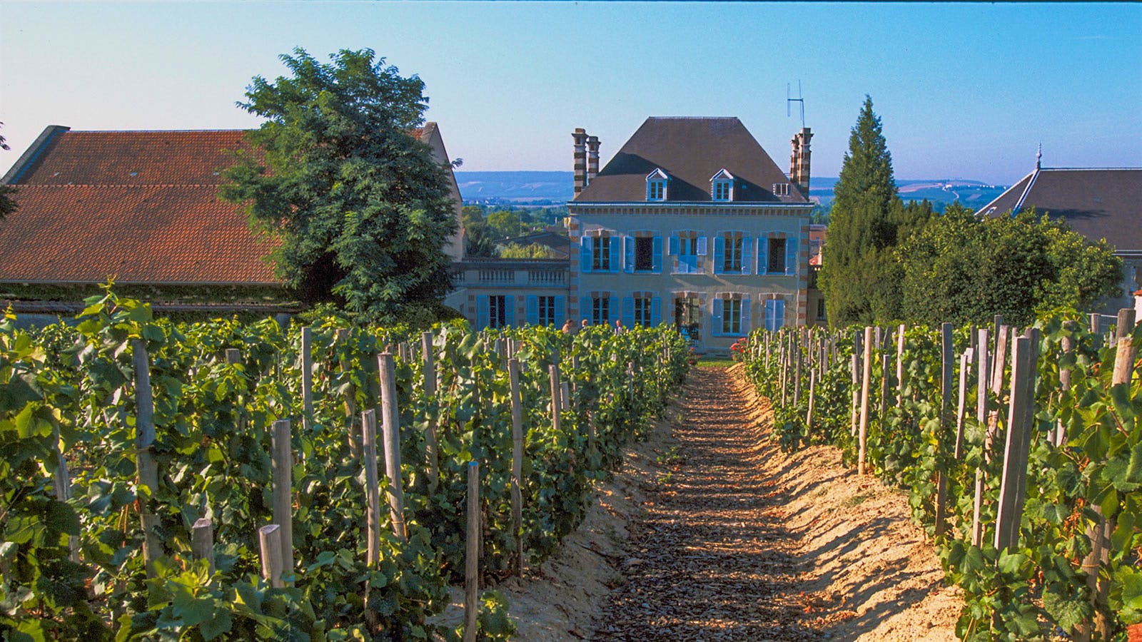 Insider Weekly: Sept. 10 Edition