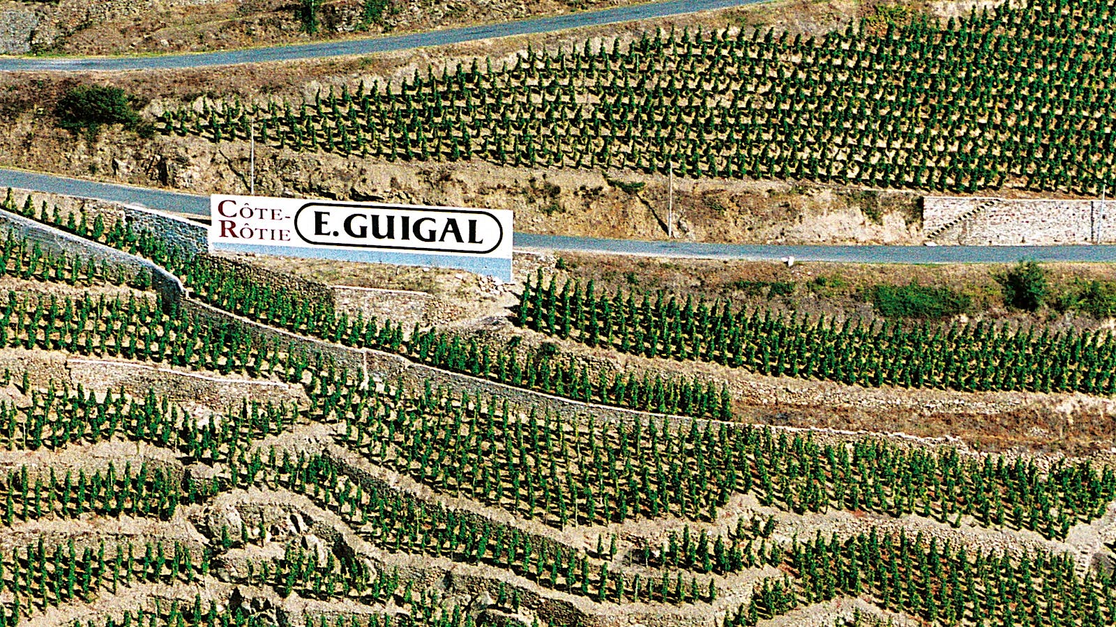 E. Guigal Côte-Rôtie vineyards