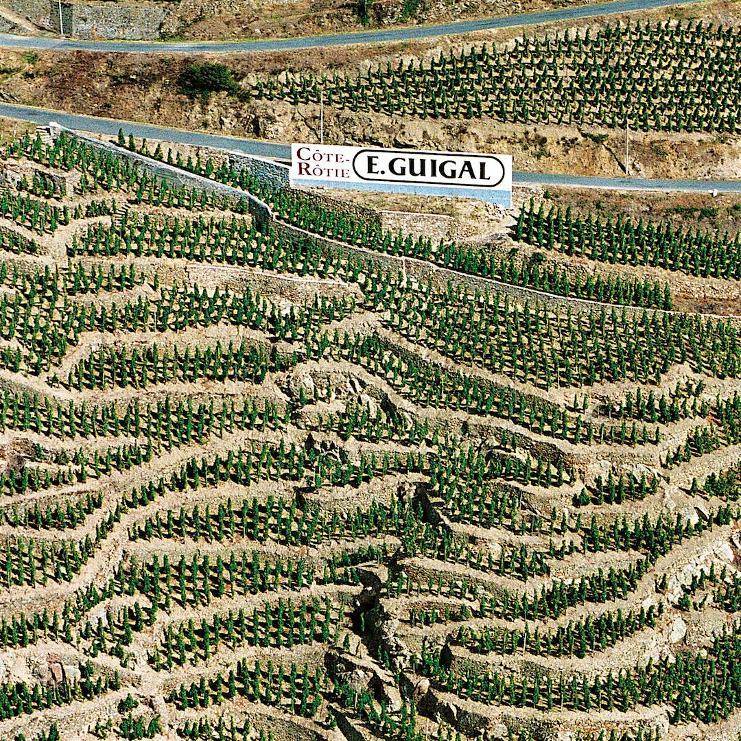 E. Guigal Côte-Rôtie vineyards