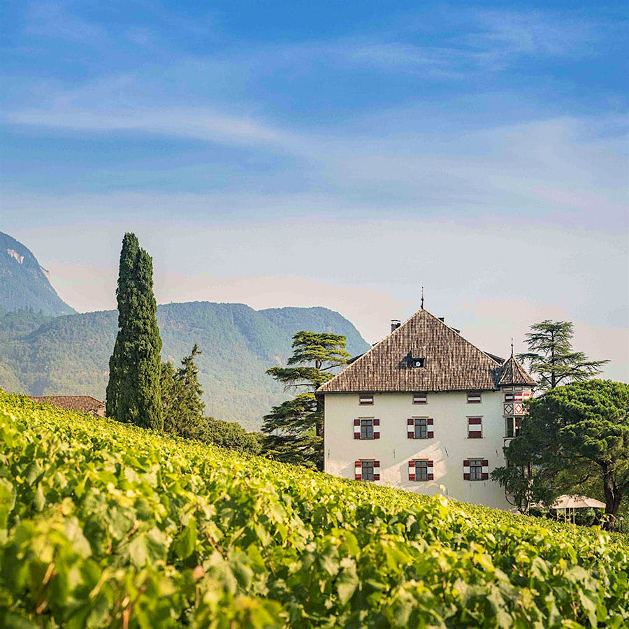 Elena Walch produces several impressive white wines that showcase the range and quality of Alto Adige.