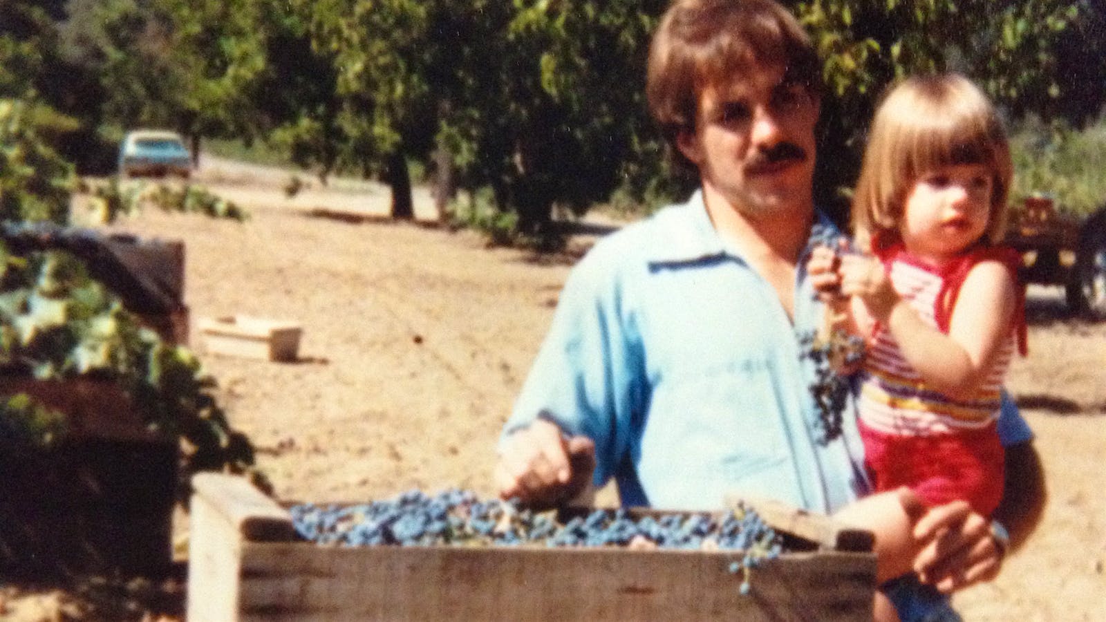  Haley Wight brings in some grapes with her father, Doug, circa 1983.