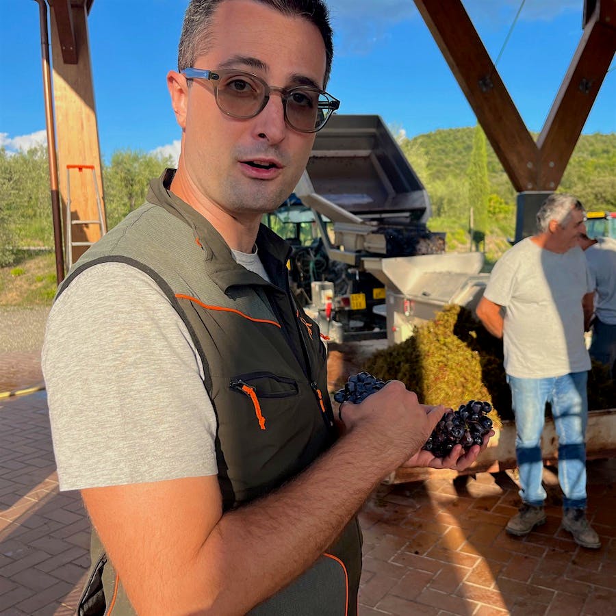  Giacomo Bartolommei holding grapes on Caprili's crush pad during harvest