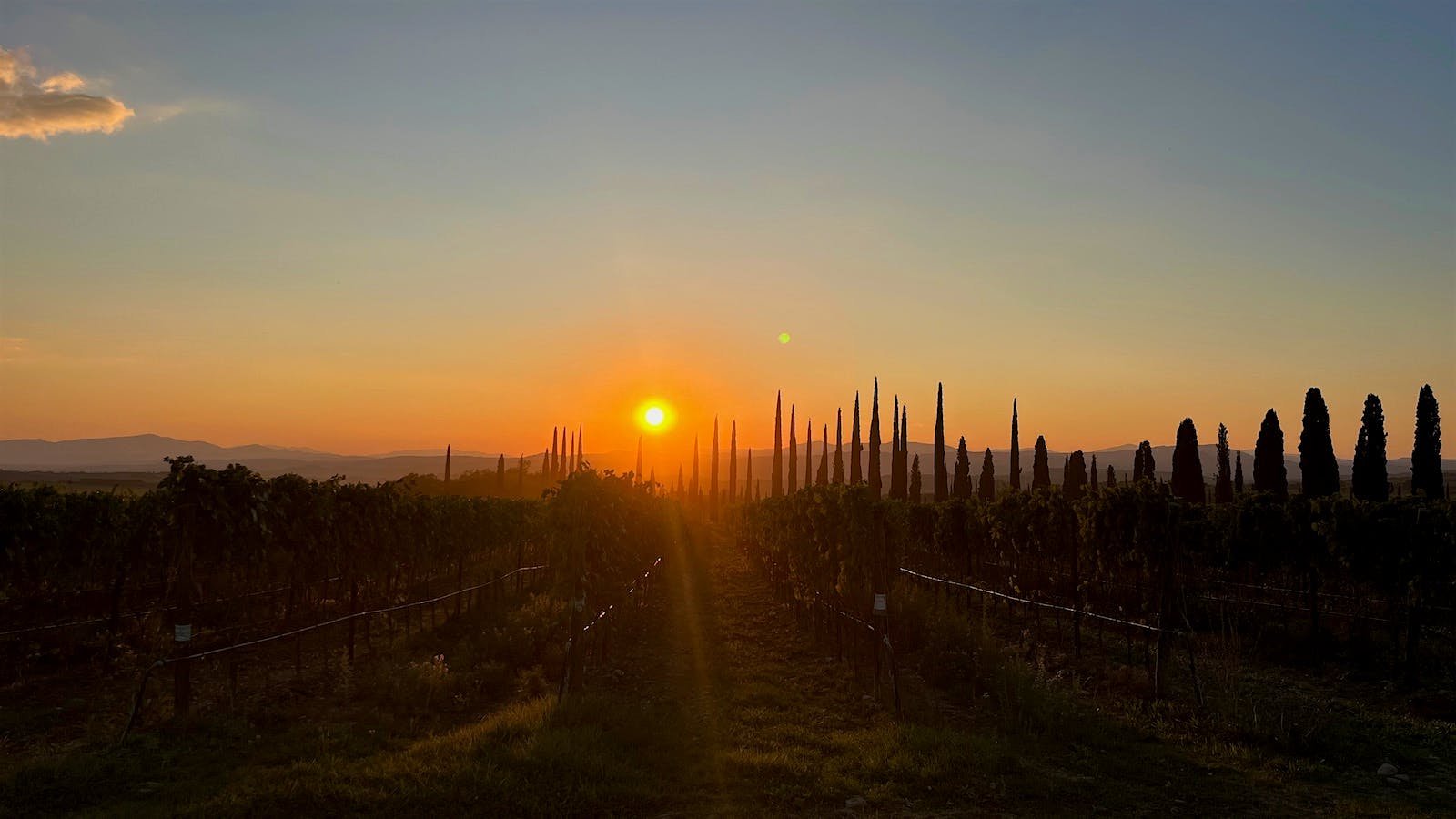  Sunset over Caprili's vineyards