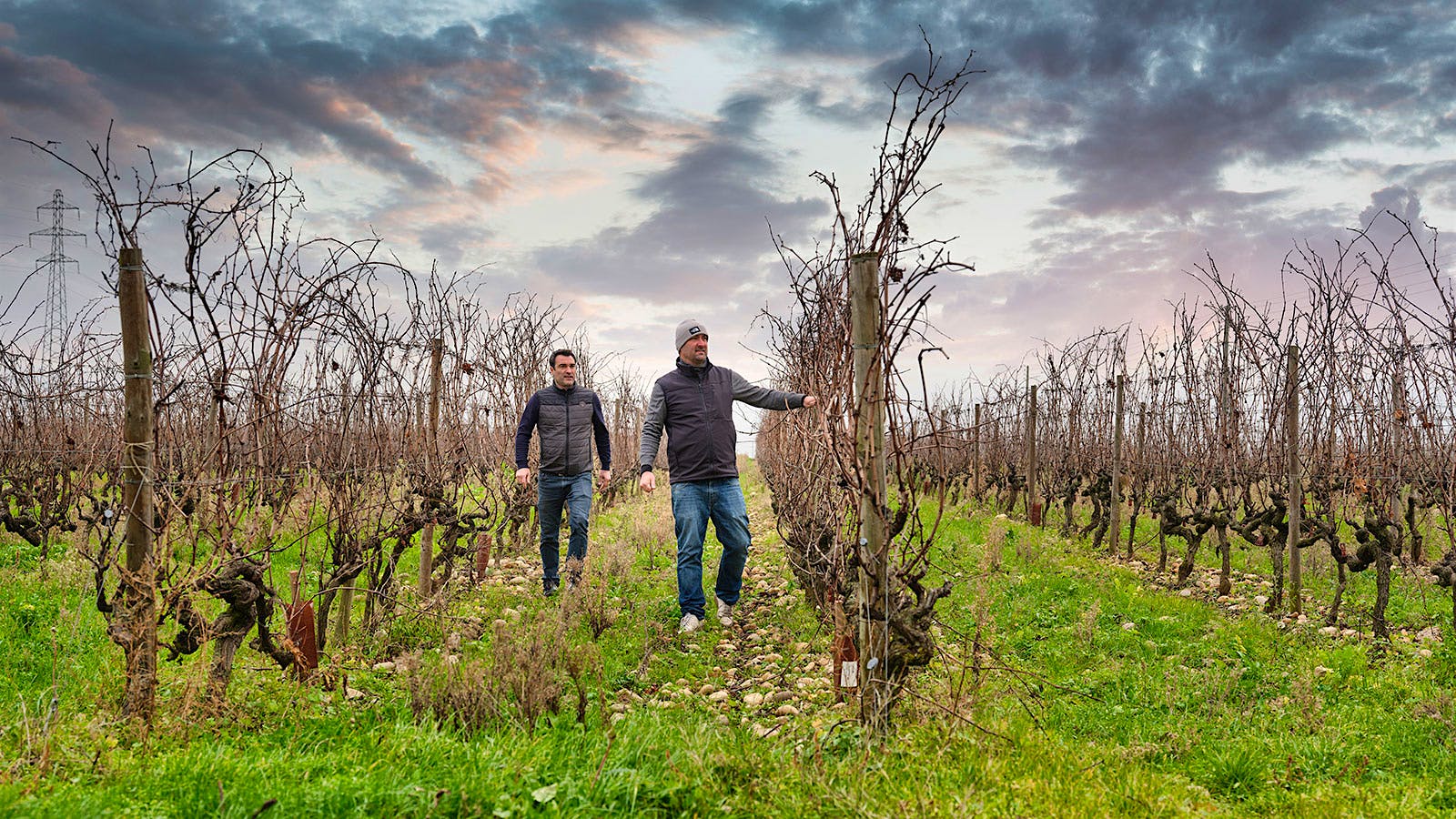 Antoine and Maxime Graillot, based in Crozes-Hermitage, also make an outstanding, structured St.-Joseph sourced from parcels in the heart of the appellation.