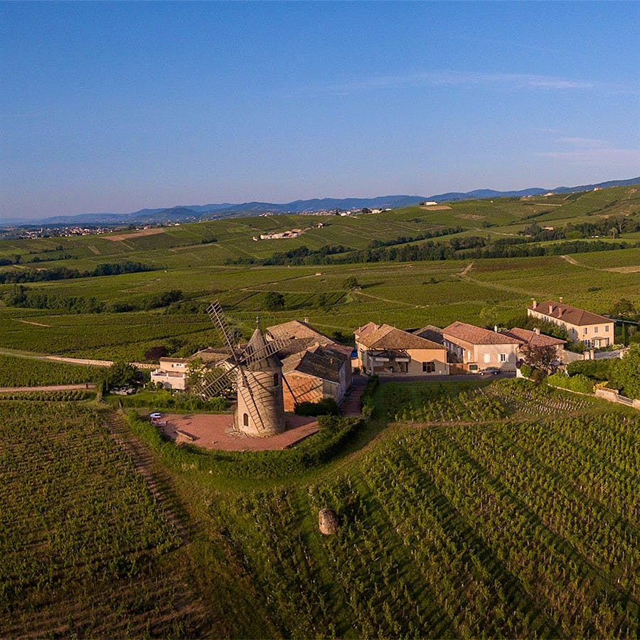 Winery landscape with vineyards and buildings. Photo credit: Cyrille Gibot/Getty Images