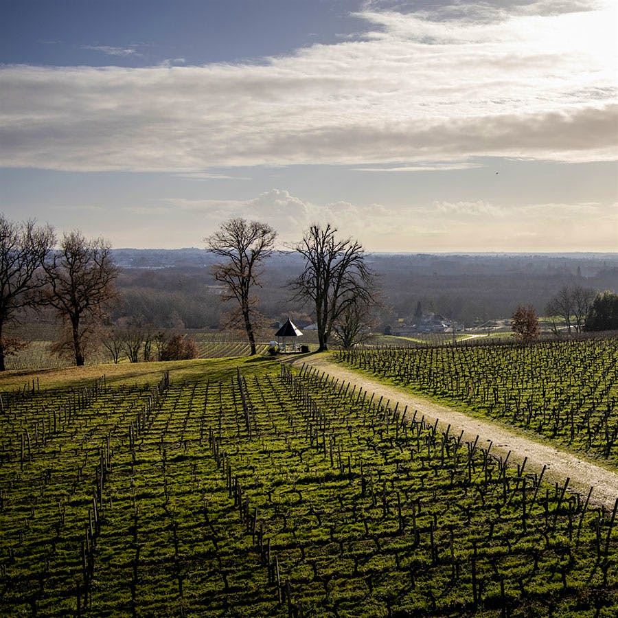 Château Dalem’s 2023 bottling shows off Fronsac’s classic combination of fresh fruit flavors and chalky tannins.