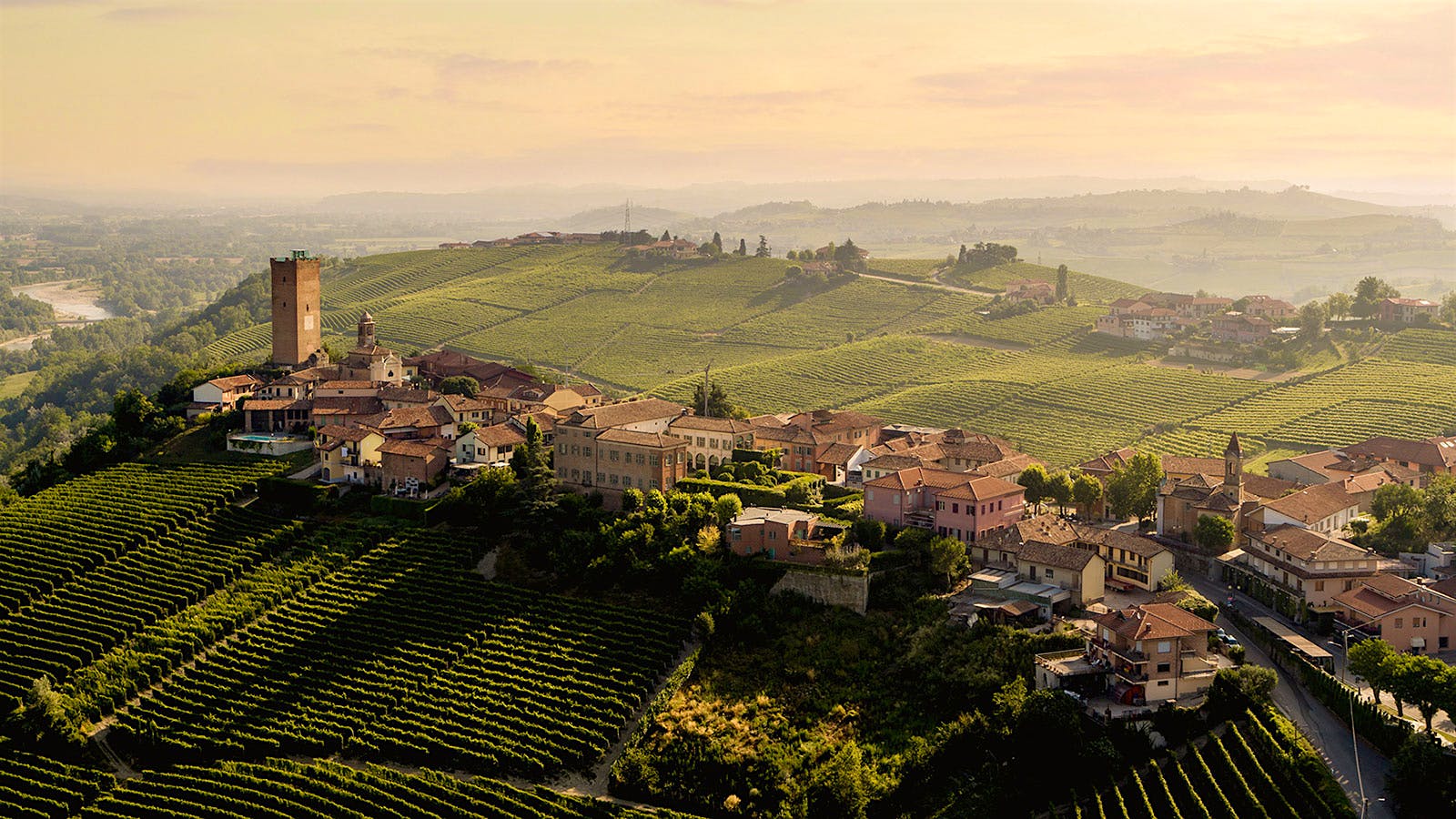Barbaresco village and vineyards, Italy. Photo credit: Courtesy of GajaTop-Rated Barolos and Barbarescos