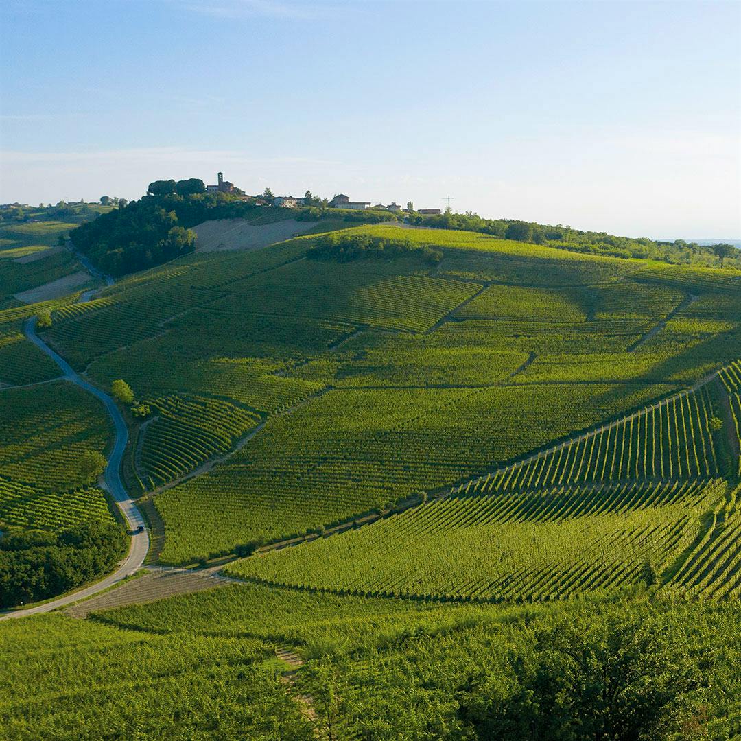Monvigliero vineyard. Photo credit: Courtesy of G.B. Burlotto