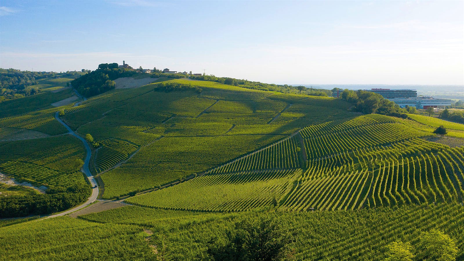 Monvigliero vineyard. Photo credit: Courtesy of G.B. Burlotto