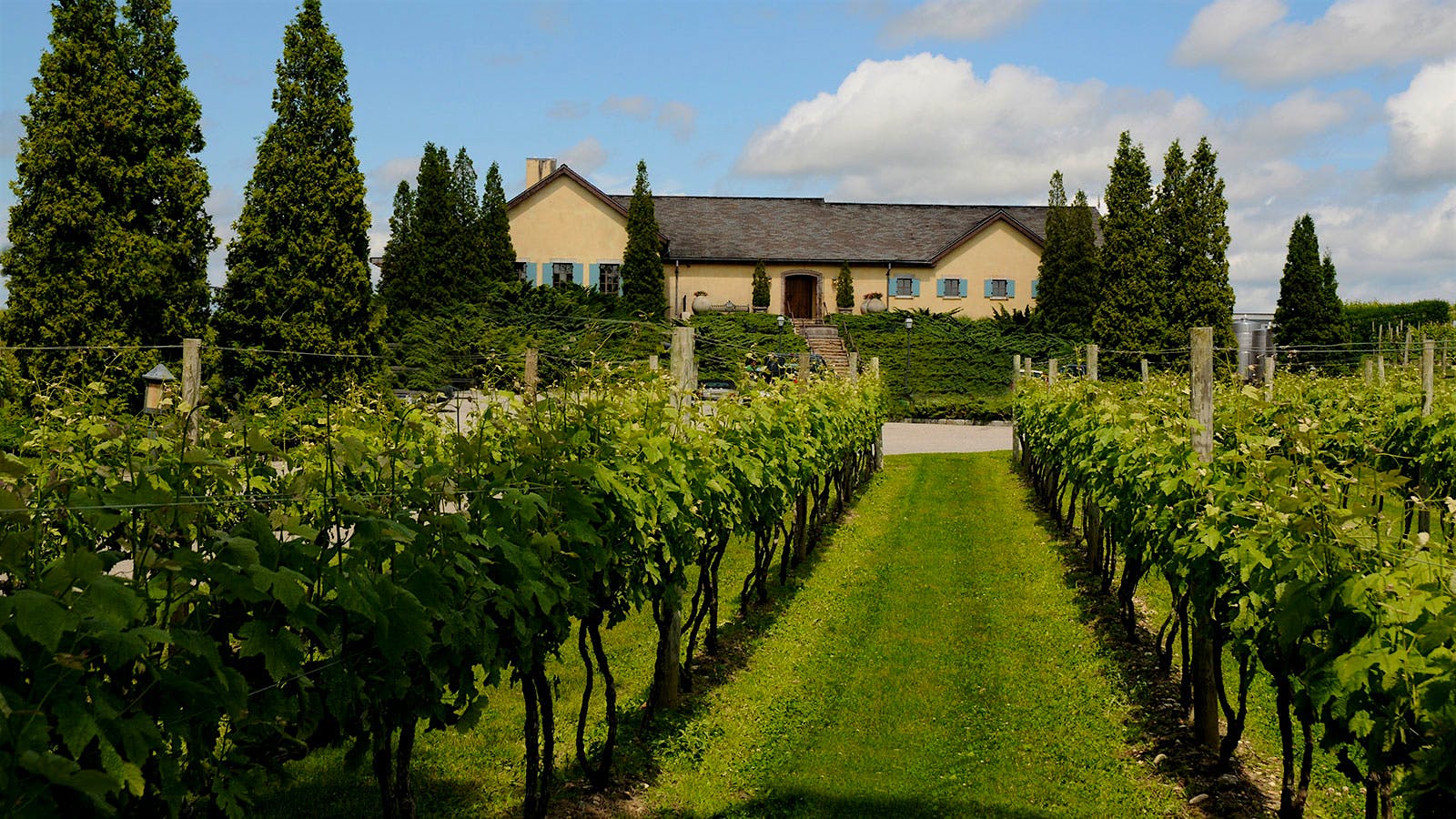  W&ouml;lffer Estate vineyard and winery building