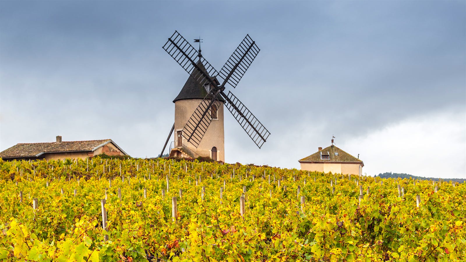  The windmill in Beaujolais. 