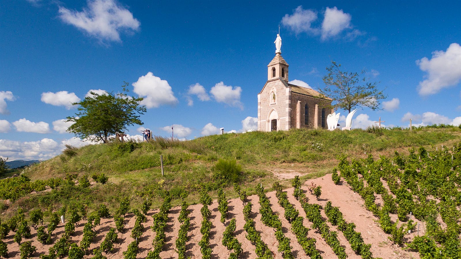  Vineyards on a slope leading up to an old stone church in Beaujolais&rsquo; Fleurie <em>cru</em> 