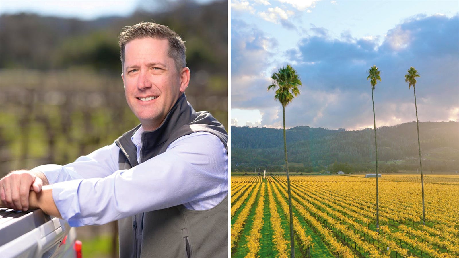 Q&A: Rob Sorenson on Vineyard Stewardship at The Duckhorn Collection