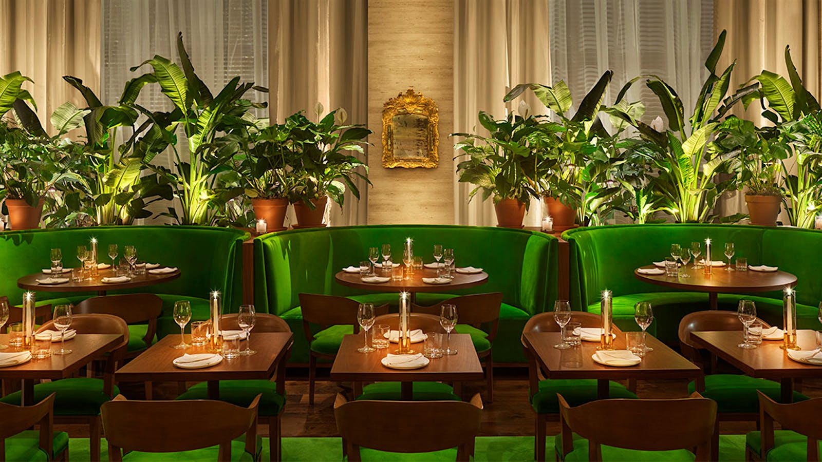  The interior of Lilac in Tampa.