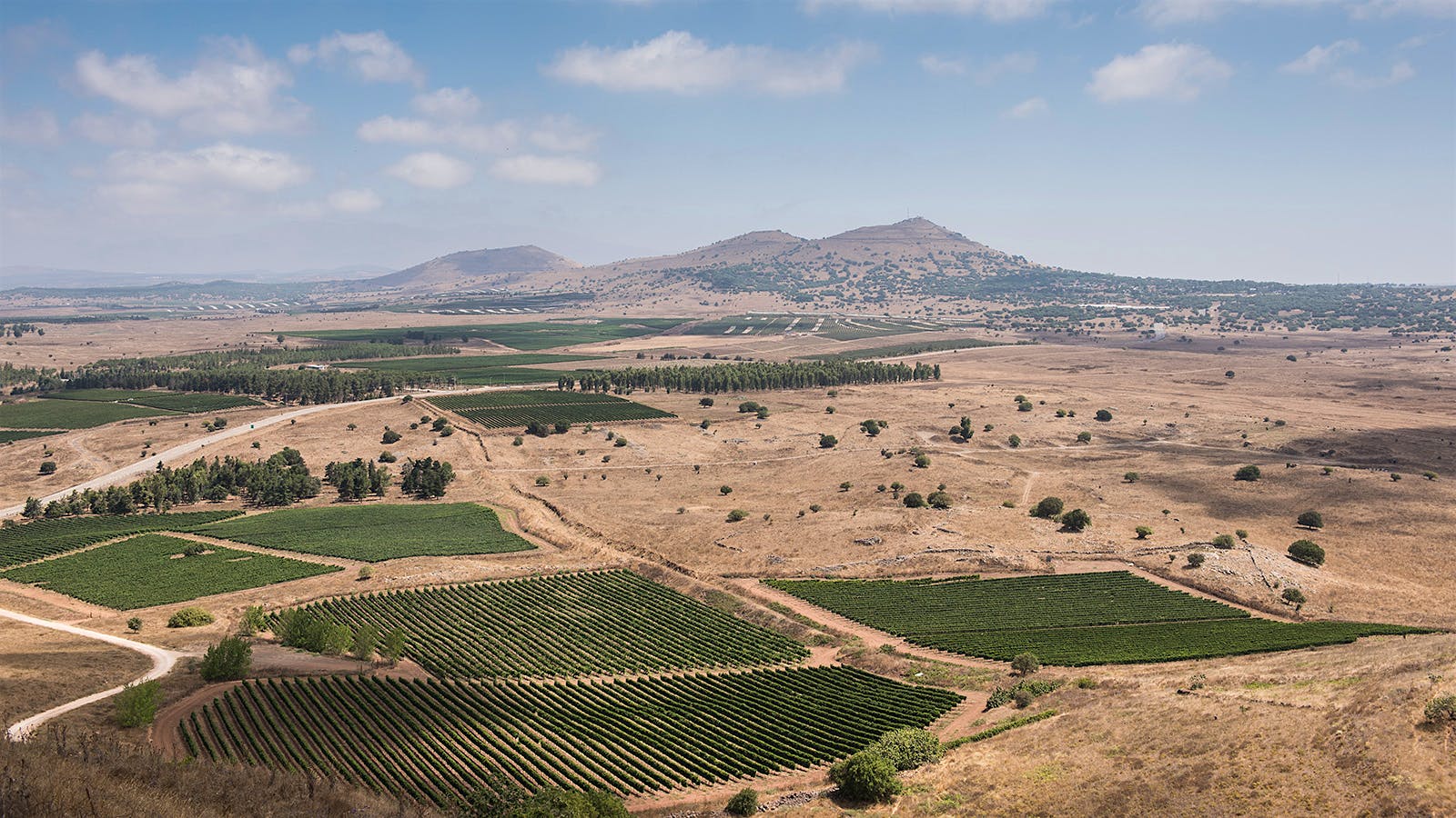 Golan Heights Winery focuses on expressing the <i>terroir</i> of high-elevation vineyards on volcanic soils in northern Israel.