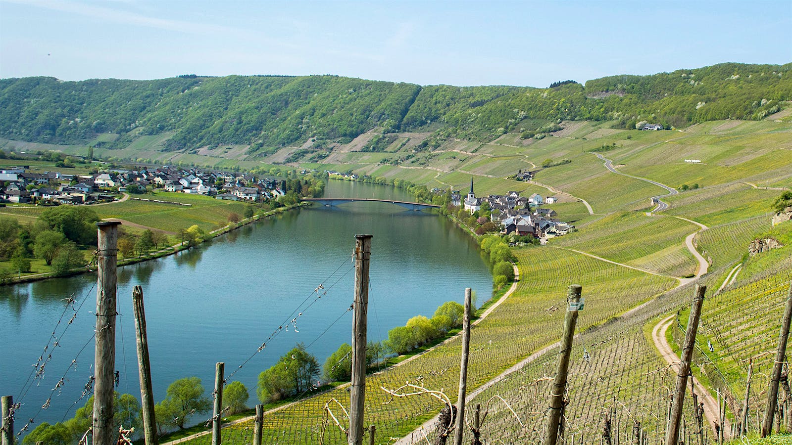 March 2026 international wine tasting roundup