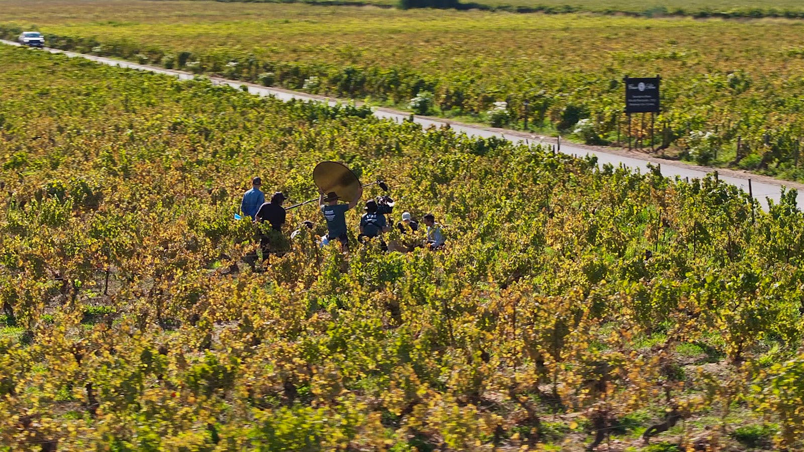 Jack Kauffman and his crew exploring a vineyard at Viña Casa Silva in Colchagua Valley