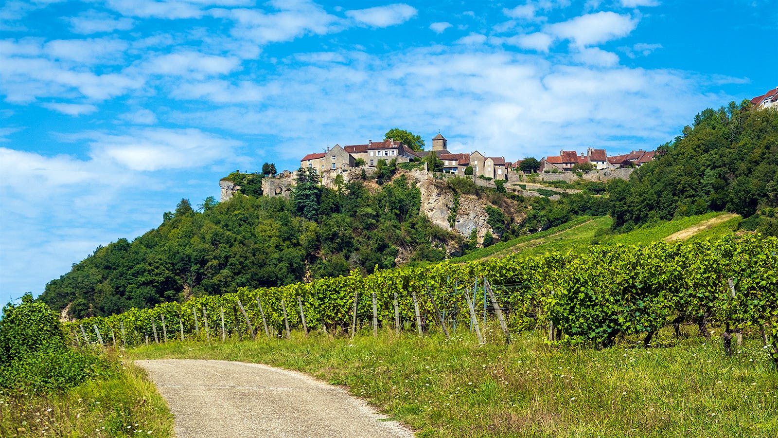  Vineyards in the Jura.