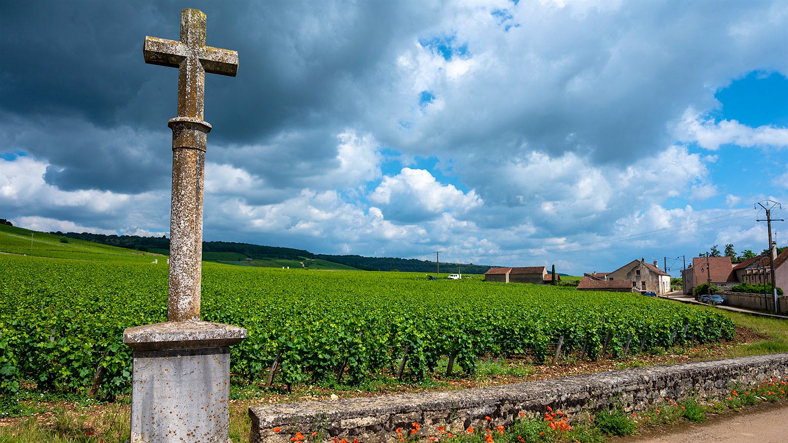 The 2023 releases from Domaine de la Romanée-Conti display youthful tension and dense textures that promise a long life ahead.