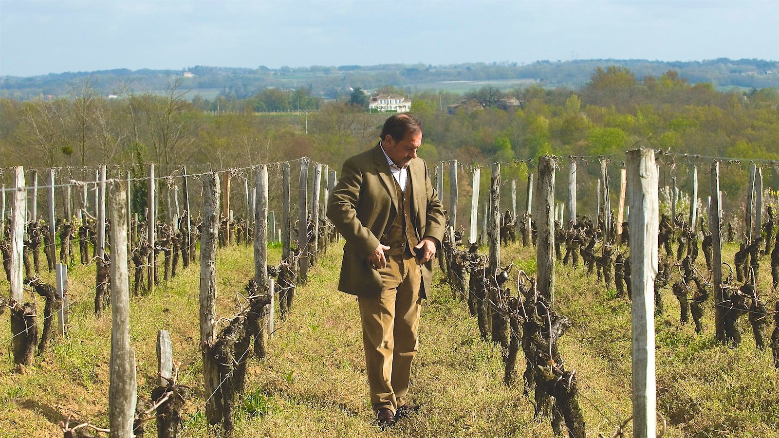 Michel Rolland walks between grapevine rows in a vineyard in Bordeaux, France