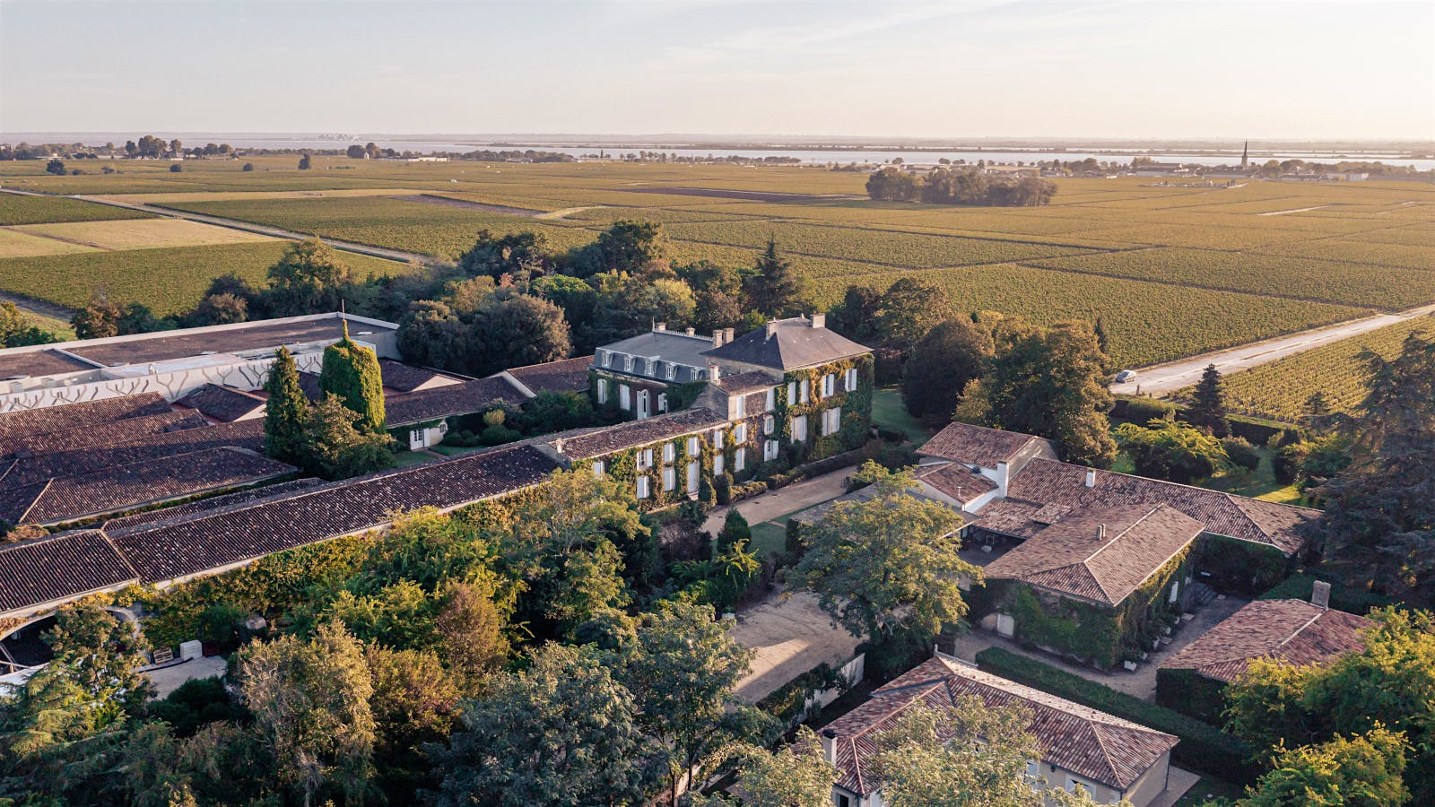 Bordeaux 2025 Vintage Tastings: St.-Julien, Châteaus Talbot and Lagrange